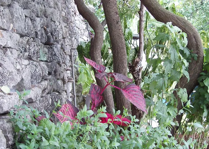 Friendly Nocleg ze śniadaniem